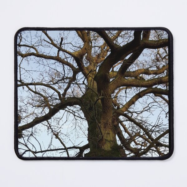 Item preview, Tree in Winter  designed and sold by amanda150771.