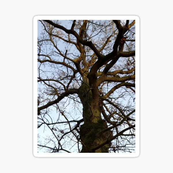 Item preview, Tree in Winter  designed and sold by amanda150771.