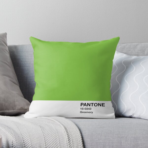 Color del año de 2017 Pantone - El verde Cojín
