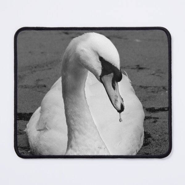Item preview, Black and white Swan designed and sold by StaLiVa.