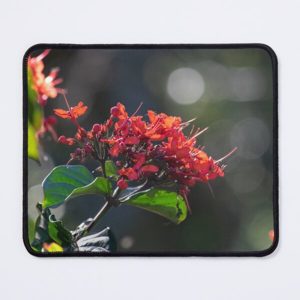 Item preview, A floral scene designed and sold by StaLiVa.