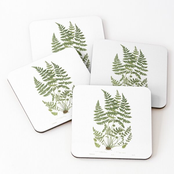 Item preview, Vintage Fern Design Fern Scientific Journal Page designed and sold by Wenkatdesigns.