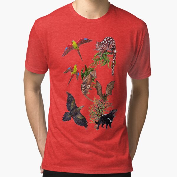 Tri-blend T-Shirt