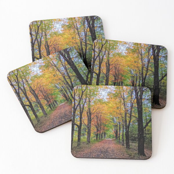 Item preview, Tree Lined Lane in Fall designed and sold by KSmithPhotos.