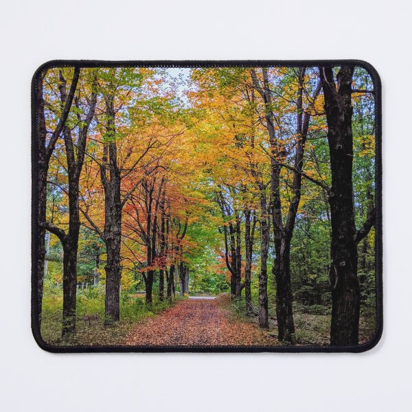 Item preview, Tree Lined Lane in Fall designed and sold by KSmithPhotos.