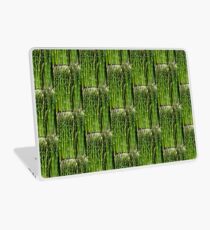 Asparagus Laptop Skin