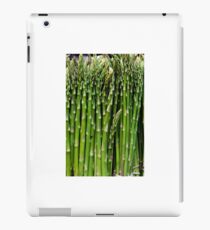 Asparagus iPad Case/Skin