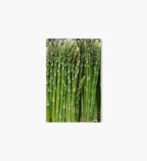 Asparagus Art Board