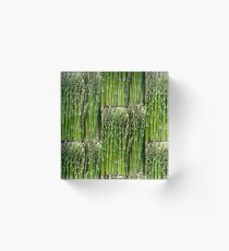 Asparagus Acrylic Block