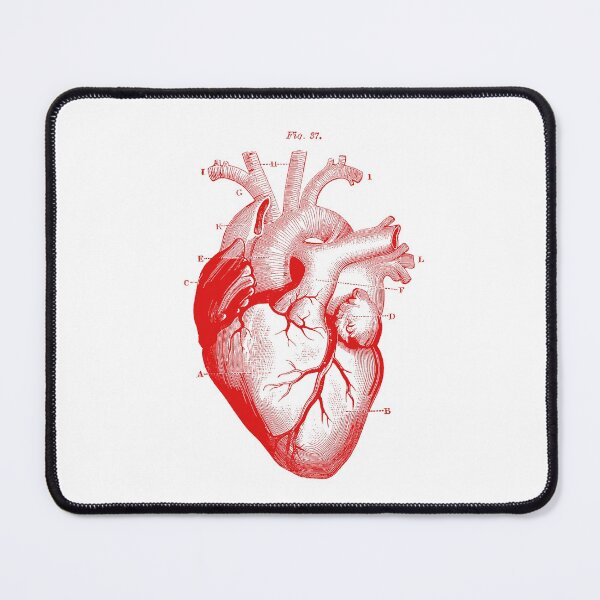 Item preview, VINTAGE ANATOMICAL HEART (RED) designed and sold by Dinahspace.