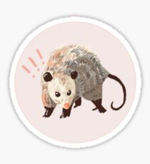 not playing possum Sticker