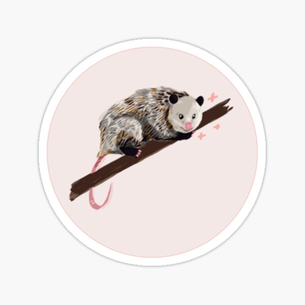 Das Opossum Geschenke Merchandise Redbubble