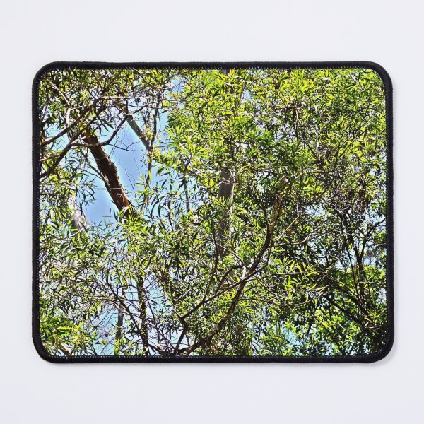 Item preview, Looking up designed and sold by Jodie Cooper.