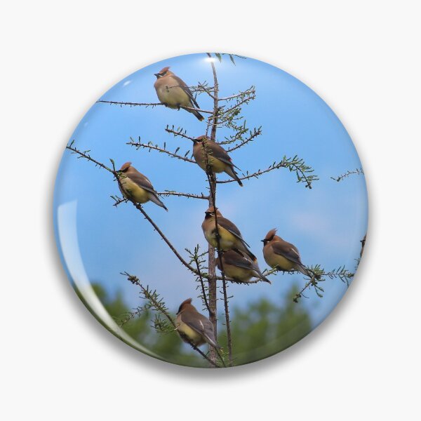 Item preview, Cedar Waxwings designed and sold by Lens2Canvas.
