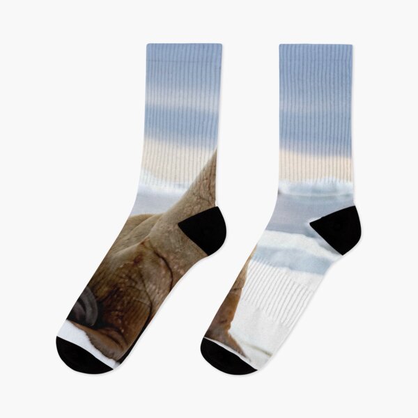 Item preview, I Am the Walrus designed and sold by Marylou Badeaux.