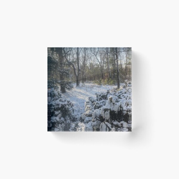 Item preview, Snowy Woods designed and sold by KSmithPhotos.
