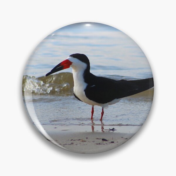 Item preview, Coastal Bird designed and sold by Lens2Canvas.