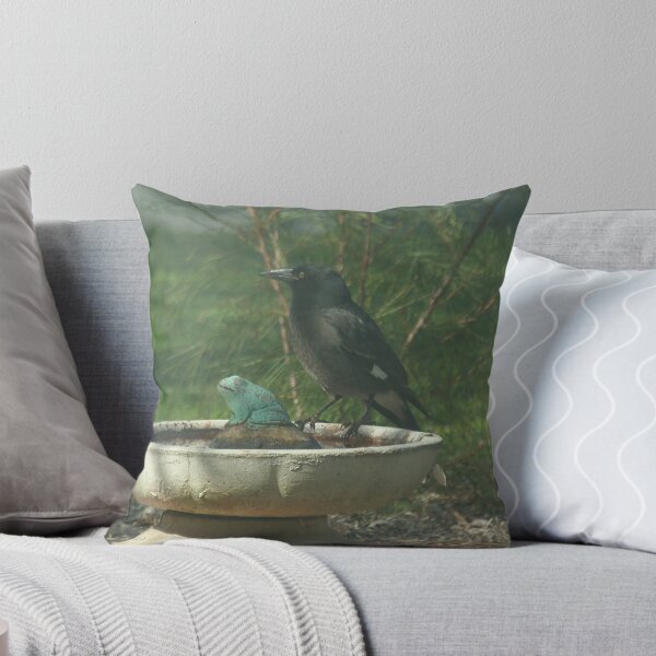 Item preview, Wary Currawong. designed and sold by ndarby1.