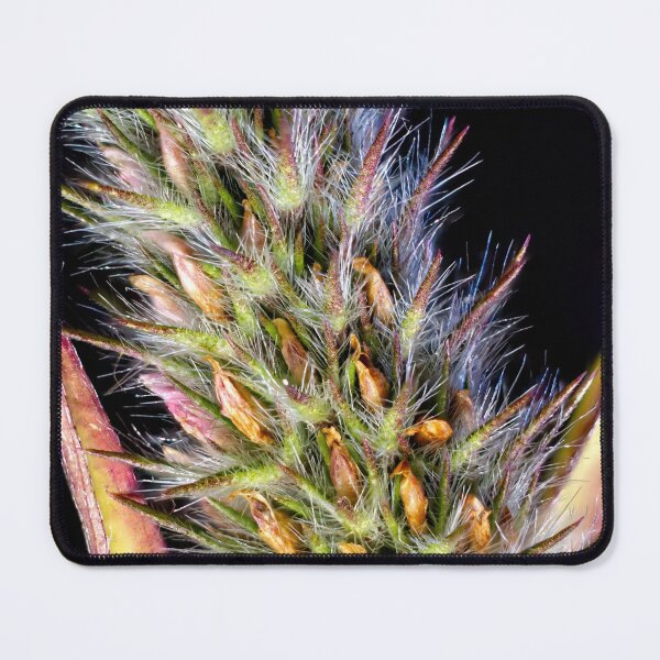 Item preview, Look Closer ... (9) designed and sold by Wolf Sverak Photography.