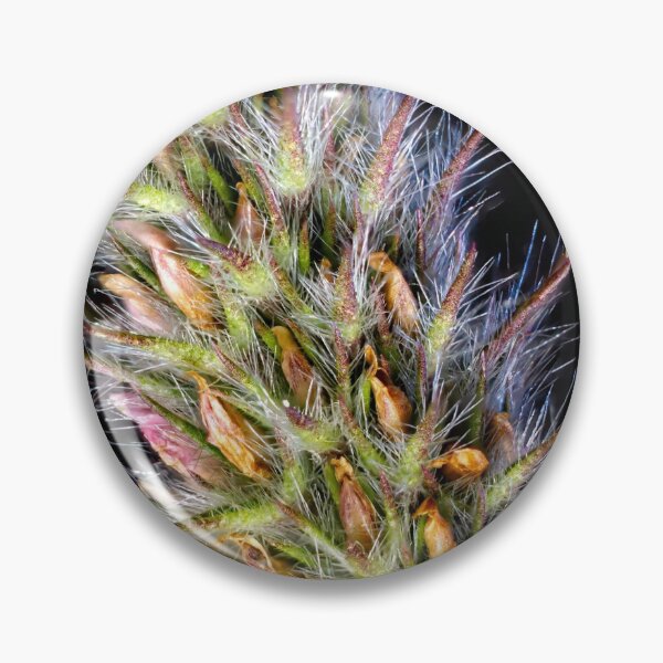 Item preview, Look Closer ... (9) designed and sold by Wolf Sverak Photography.