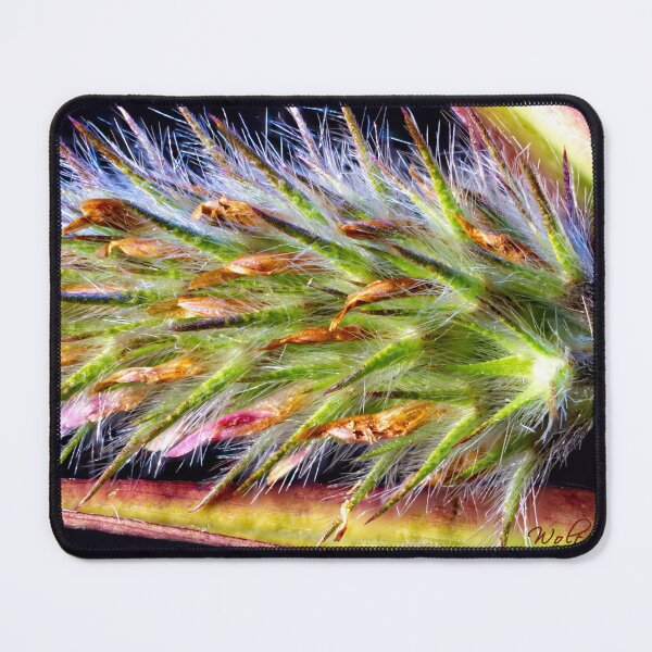 Item preview, Look Closer ... (10) designed and sold by Wolf Sverak Photography.