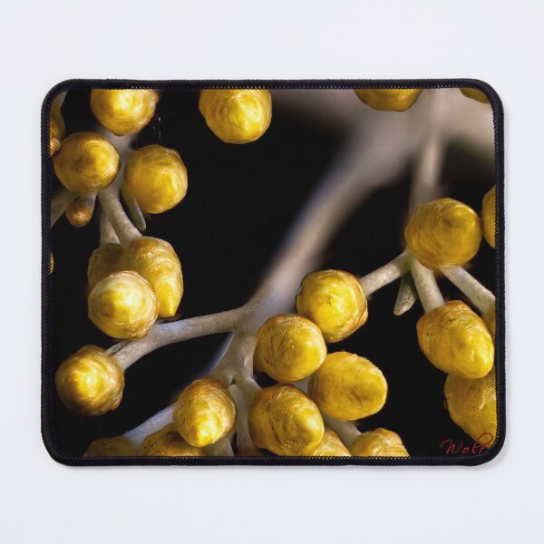 Item preview, Look Closer ... (14) designed and sold by Wolf Sverak Photography.