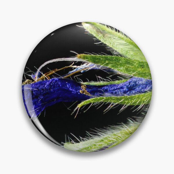 Item preview, Look Closer ... (15) designed and sold by Wolf Sverak Photography.