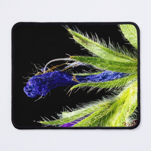 Item preview, Look Closer ... (15) designed and sold by Wolf Sverak Photography.