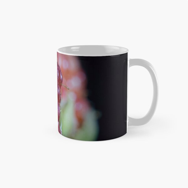 Item preview, Look Closer ... (16) designed and sold by Wolf Sverak Photography.