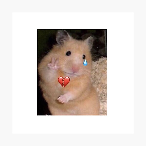 "Sad Hamster Meme " Photographic Print For Sale By GeKrayr | Redbubble