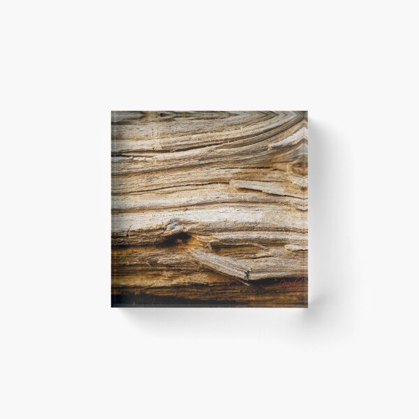 Item preview, Look Closer ... (20) designed and sold by Wolf Sverak Photography.