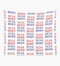 BEAR DOWN PABLO Wall Tapestry