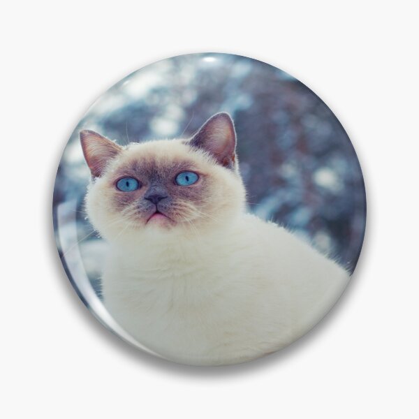 Item preview, cat walk in the snow, designed and sold by marwan elsaeed.