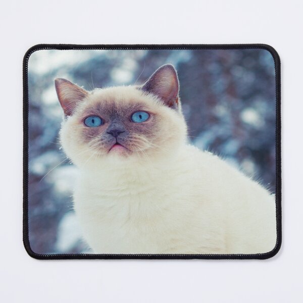Item preview, cat walk in the snow, designed and sold by marwan elsaeed.
