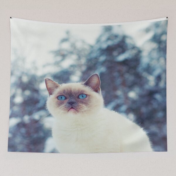 Item preview, cat walk in the snow, designed and sold by marwan elsaeed.
