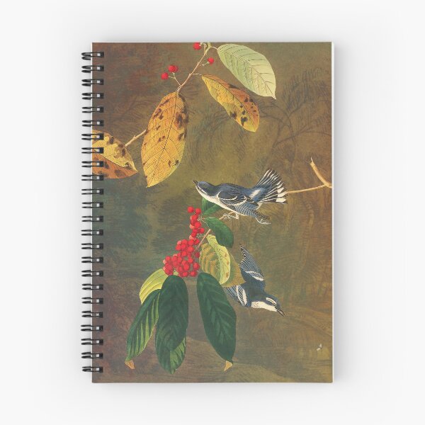 Item preview, Audubon's Azure Warbler - Birds on Berries designed and sold by thaneydesign.