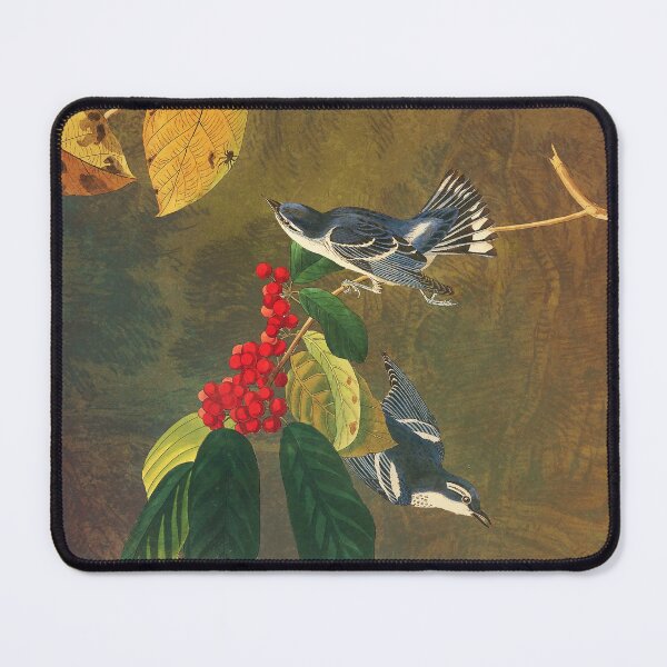 Item preview, Audubon's Azure Warbler - Birds on Berries designed and sold by thaneydesign.