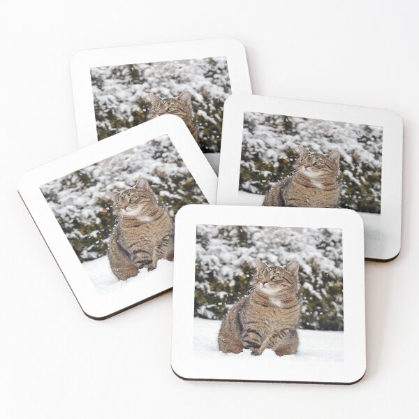 Item preview, cat walk in the snow, designed and sold by marwan elsaeed.