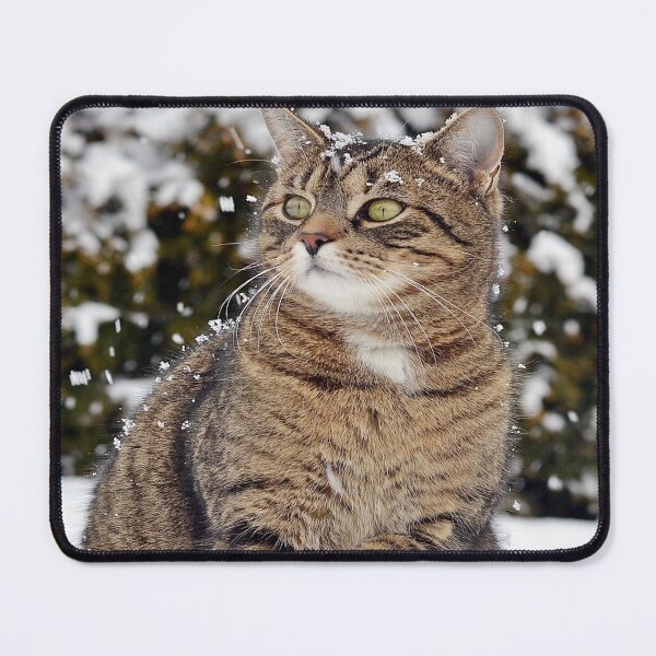 Item preview, cat walk in the snow, designed and sold by marwan elsaeed.