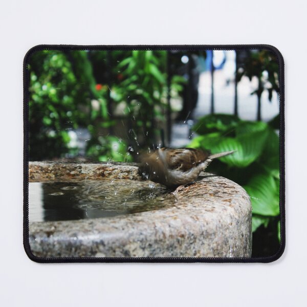 Item preview, Bird Bath in New York designed and sold by MattFultonComAu.