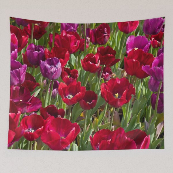Item preview, Red velvet tulips designed and sold by Bradie B Photography.