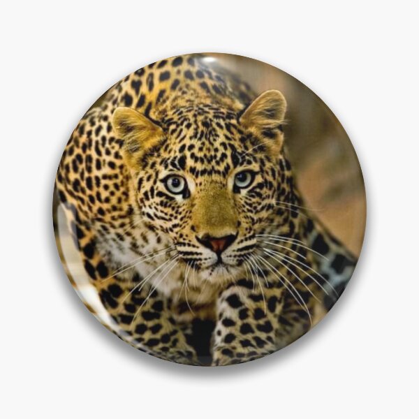 Item preview, Sublime Leopard designed and sold by Maddie4Real.