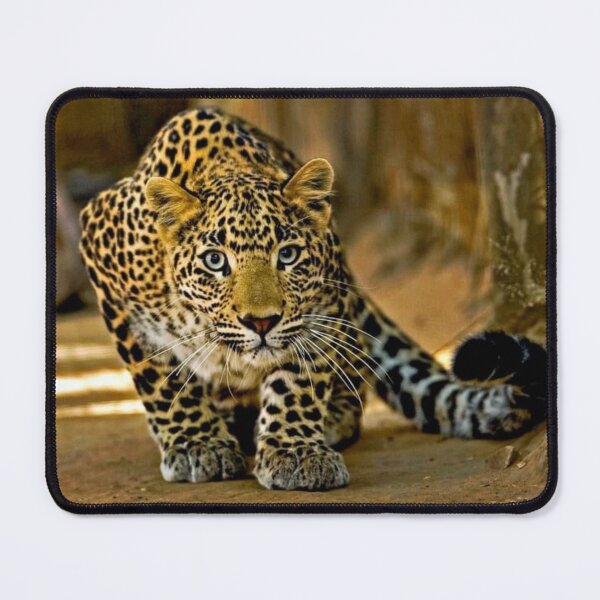 Item preview, Sublime Leopard designed and sold by Maddie4Real.
