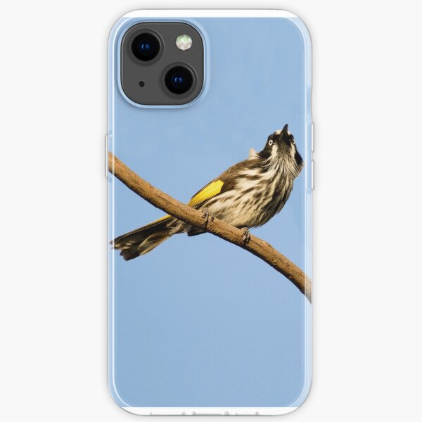New Holland Honey-Eater - Spring Sky Coque souple iPhone