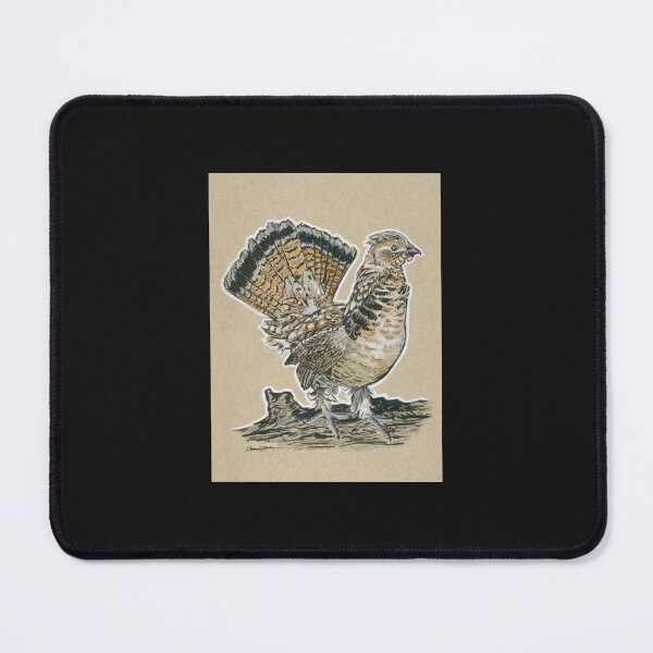 Item preview, State Bird Series Pennsylvania - Ruffed Grouse Sticker designed and sold by DorianBogehold.