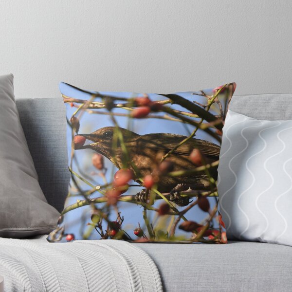 Item preview, A Blackbird Reaching for a Snack designed and sold by rwhooster.