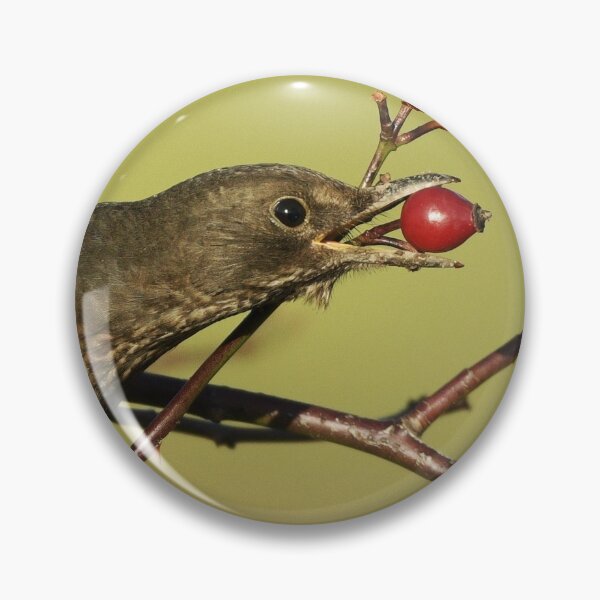 Item preview, A Hungry Blackbird designed and sold by rwhooster.