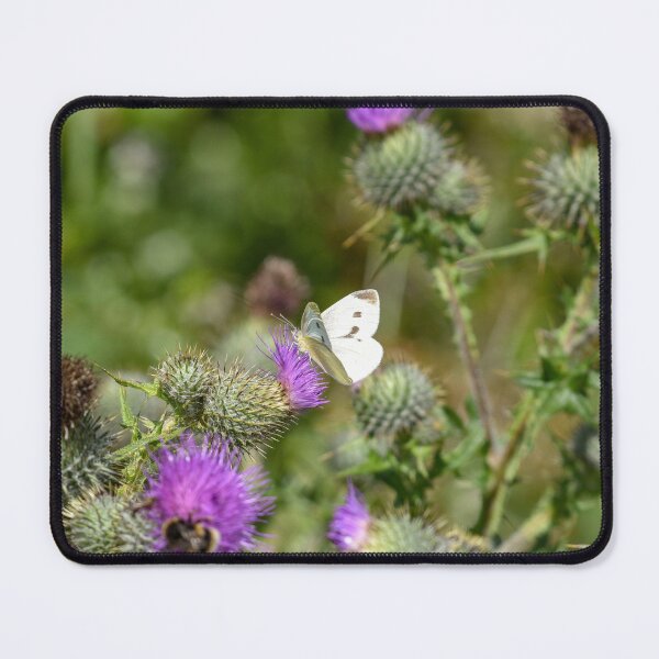 Item preview, Large White Butterfly on a Thistle designed and sold by rwhooster.