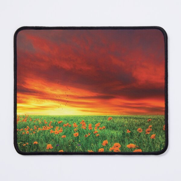 Item preview, California Golden Poppies designed and sold by abbazabba.
