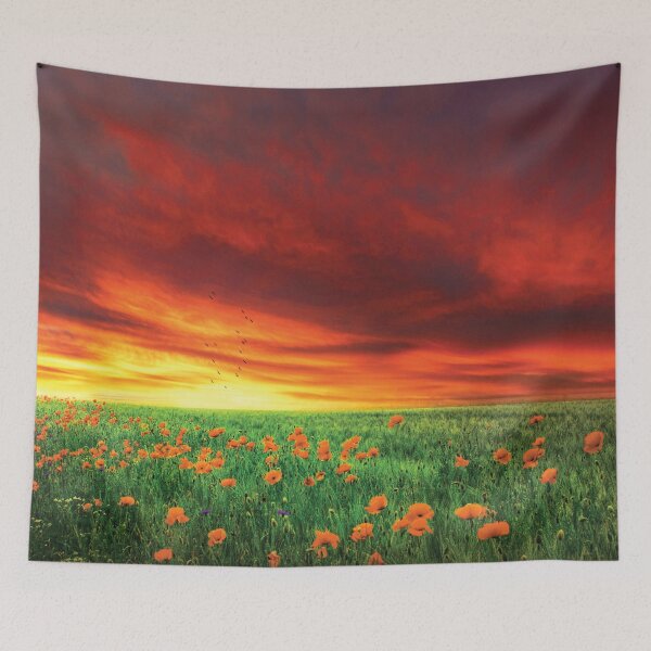 Item preview, California Golden Poppies designed and sold by abbazabba.